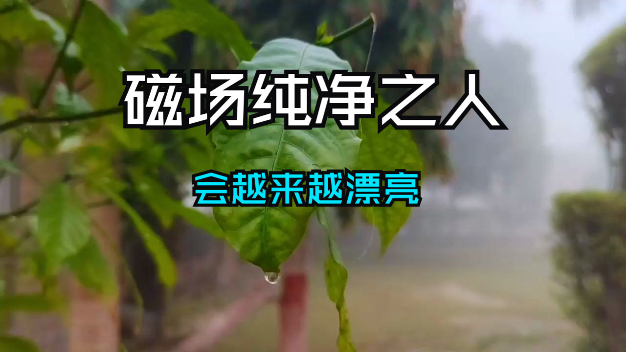 磁场纯净，颜值逆袭！千万不要过度同情他人！越来越漂亮的原因！