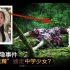 日本诡异神隐，15岁埼玉中学少女离奇失踪，2年后发现是“森林之妖”掳走当人偶