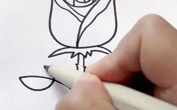 how to draw rose flowers 怎么画玫瑰花 跟我这样画玫瑰花很简单 一学就会 儿