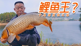 f5544d84077debcb8b5023a7be37348a789dd0d6.jpg@280w_158h_1c_100q.jpg