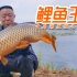 《游钓中国7》03 千岛湖度假之旅 意外斩获鲤鱼王