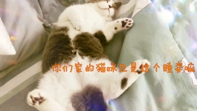 f560366ed8f2be05103749d4dc3ca86d1fbeed6e.jpg@280w_158h_1c_100q.jpg