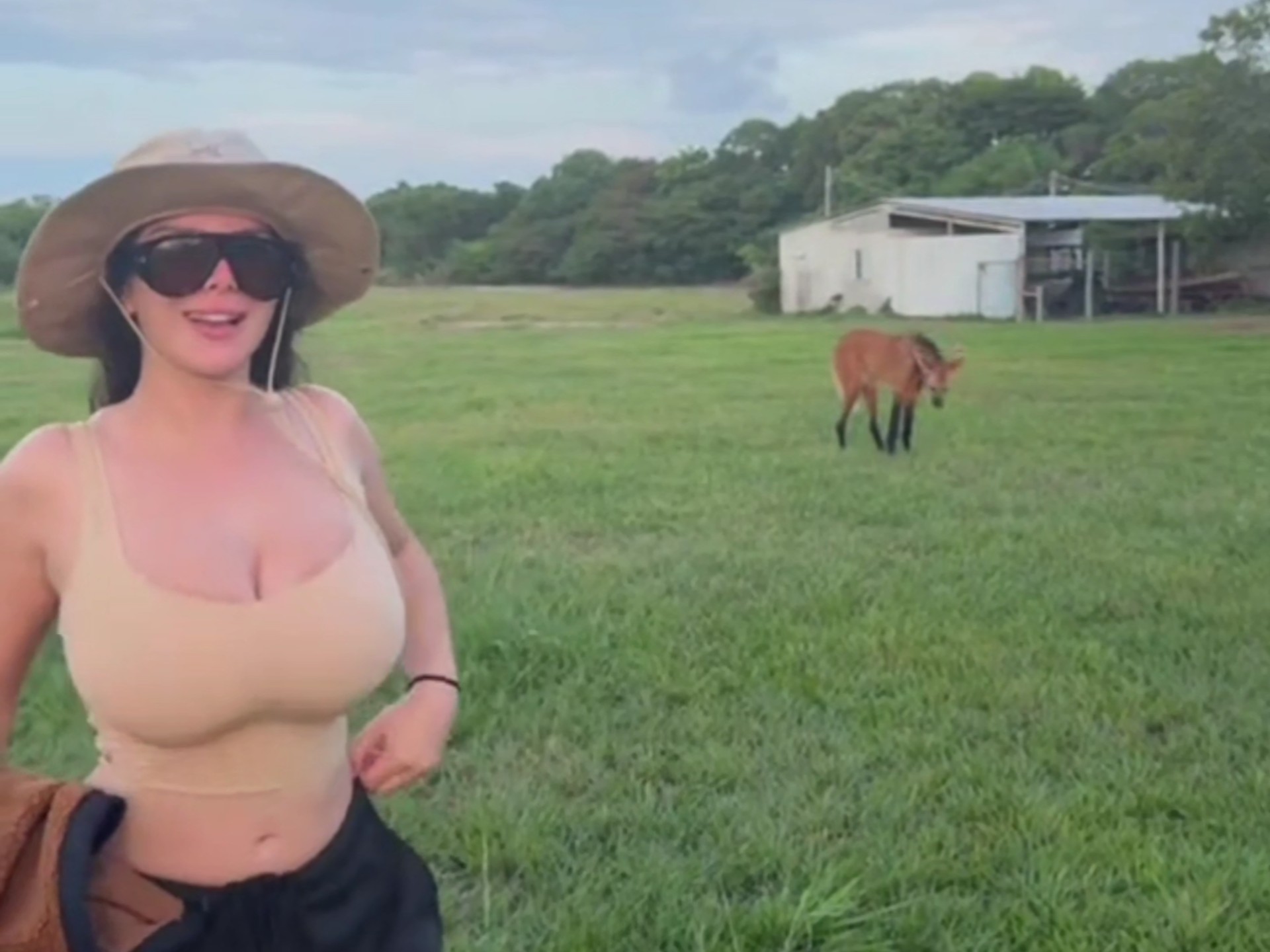 jazmenjafar00（5）