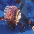 《怪物猎人物语2：毁灭之翼》 爆鳞龙技能展示