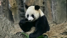 f5943e348c530a814a7b5ad473e6f4d7da41cc35.jpg@280w_158h_1c_100q.jpg