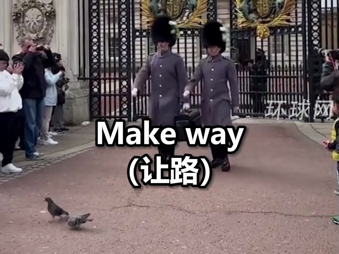 搞笑一幕！英国皇家卫队对鸽子霸气喊话“让路”，逗乐一旁打卡拍照游客