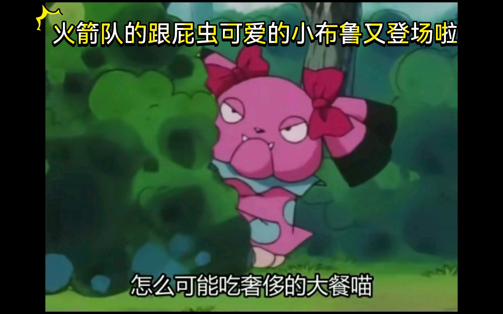 精灵宝可梦 火箭队的跟屁虫可爱的小布鲁又登场啦