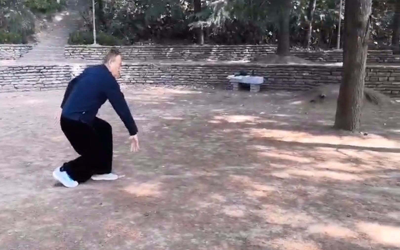 心意六合拳名家张宁卫先生70岁演练的心意四把捶