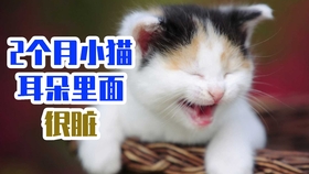 f5e6a10f319d98be155ac7ba78e65dc6f0e84524.jpg@280w_158h_1c_100q.jpg