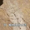 泰國創意廣告