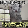 男娘初次带锁差点去世 ▏猫meme