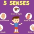 Human Sense Organs _ Learn about five Senses