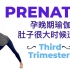 Jessica Pumple|孕晚期瑜伽运动 【为生产作准备 帮助调整到理想胎位】#Pregnancy and Post