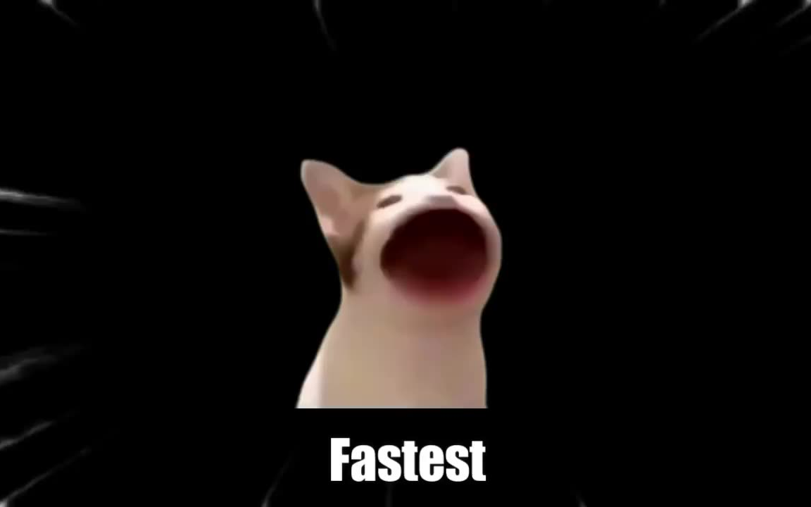 20秒内的11种不同popo猫