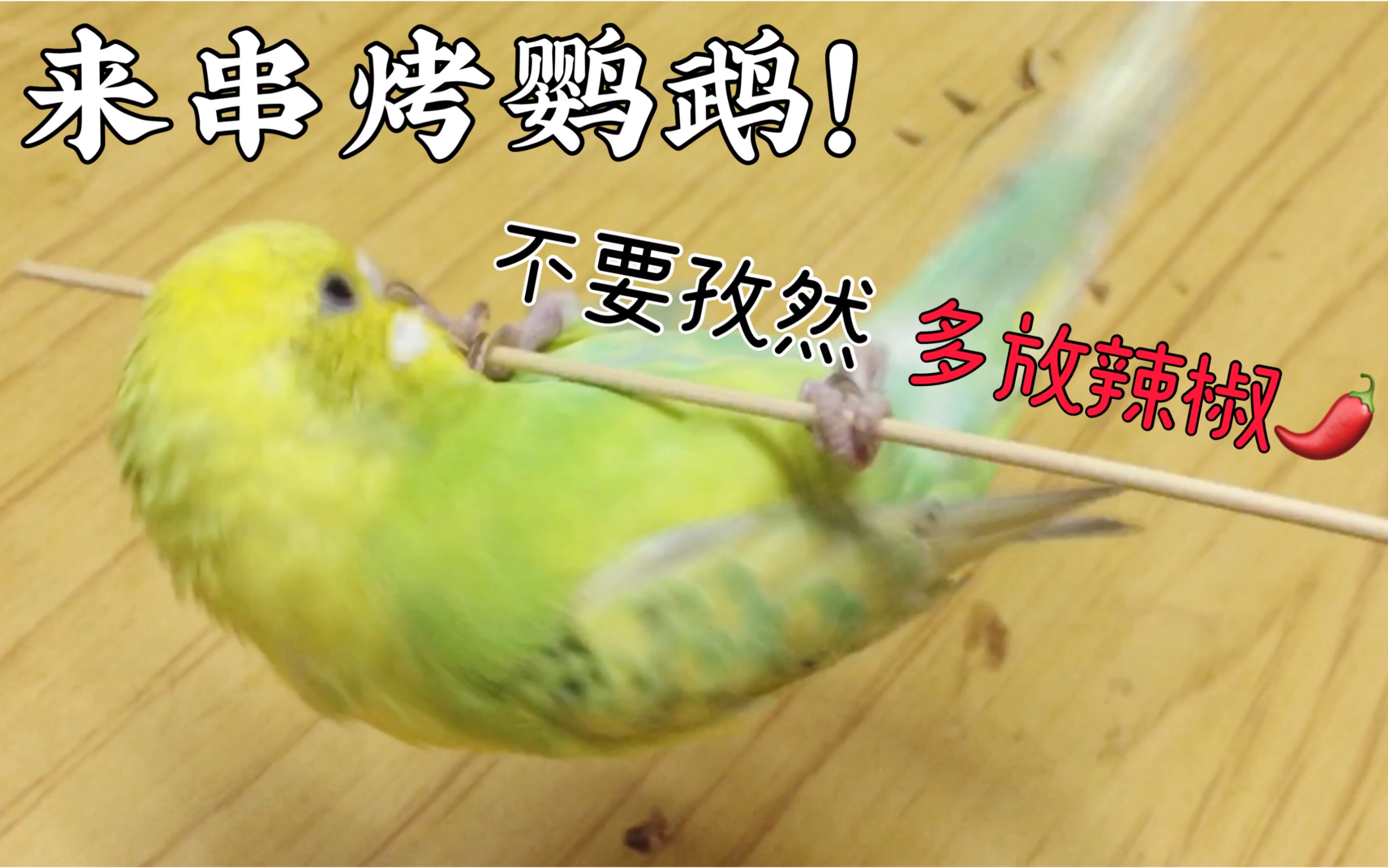 烤鹦鹉串数量有限先到先得