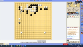 日本围棋人口_日本围棋(2)