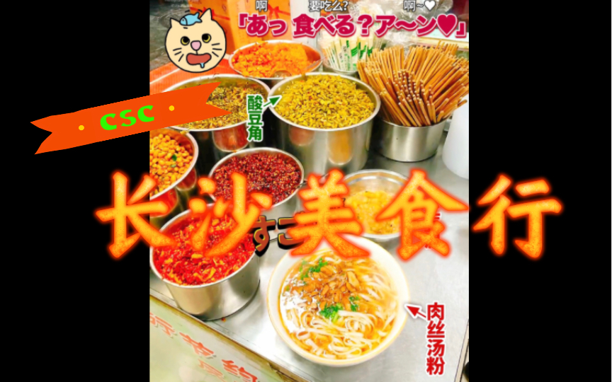 Changsha Food Flash Mob!