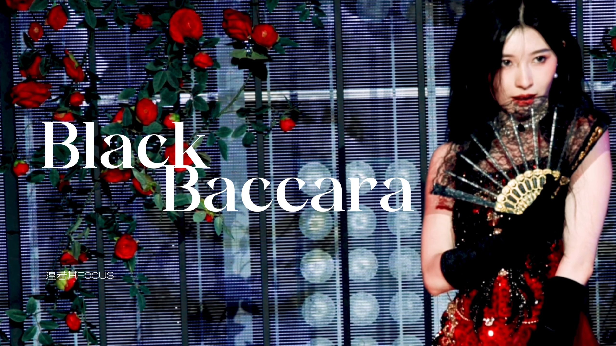 Wen Ruoqi] [3 cameras] 250906 "Black Rose Black Baccara" 『Specialized Birthday Performance』Focus [4k60p