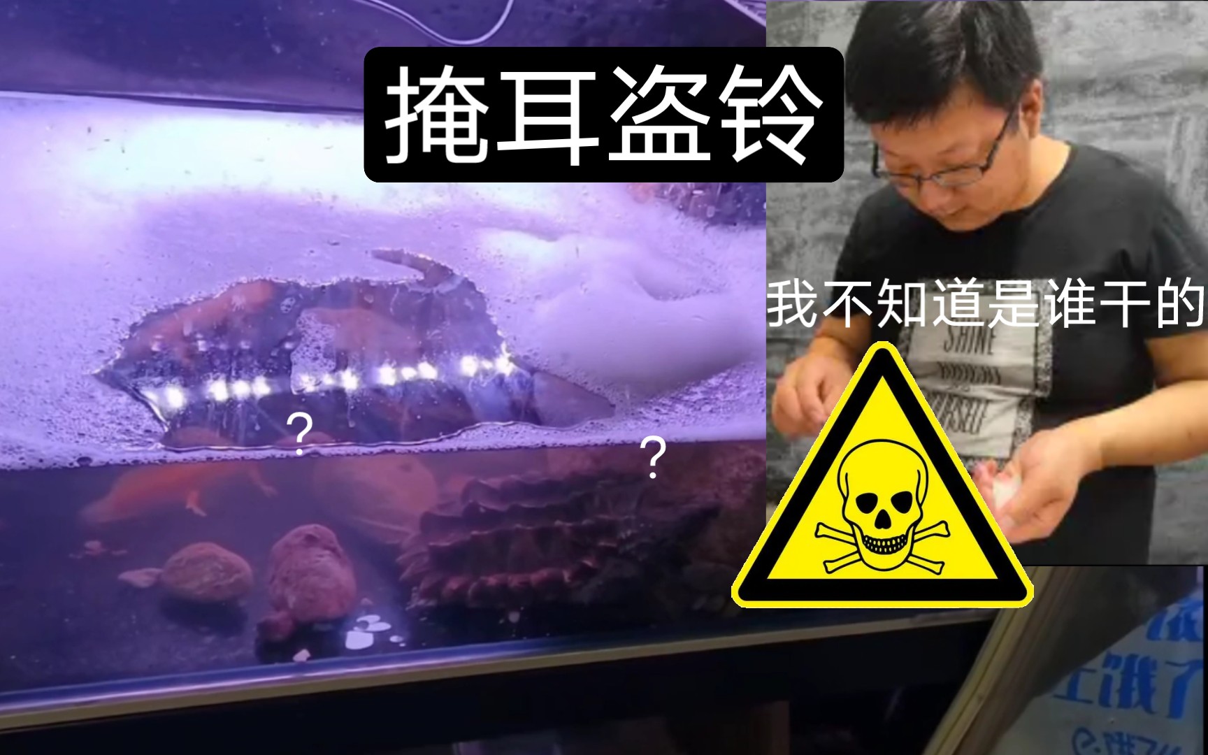 吐槽养鱼的大潘 第三集-掩耳盗铃 借刀杀鱼
