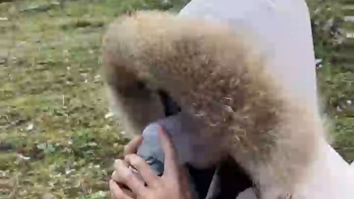 用AI制定完美的旅游攻略