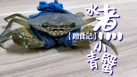 f65b70b6a7ddbd8a99928f7dfcb4f1bd90469c95.jpg@280w_158h_1c_100q.jpg