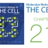 《细胞的分子生物学》第21章 多细胞生物的发育 配套视频（字幕重制版）