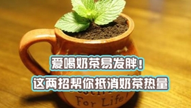 f66ecefa4a6b310b50bc92abeef9f0fb16bba61b.jpg@280w_158h_1c_100q.jpg