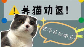 f68941df79a8d5c97efbee157c9a47830b7f758f.jpg@280w_158h_1c_100q.jpg