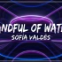 Handful of Water by Sofía Valdés【Lyrics Video】