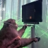 重大突破！猕猴用意念玩游戏，马斯克“脑机接口”公司