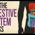 【Ted-ED】消化系统的运作原理 How Your Digestive System Works