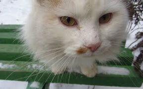 f6bcfc5ae8e4d1ebbcb481193ae7d6880db762d0.jpg@480w_270h_1c