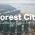 新加坡旁碧桂园森林城市 - 2018年5月19日进展航拍
