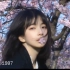 Sakura｜DV录像带