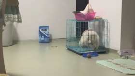 自己在家怎么开美容店 f6e5ba2c9d826c86016c194b69b6e1fd5b50c979.jpg@280w_158h_1c_100q.jpg