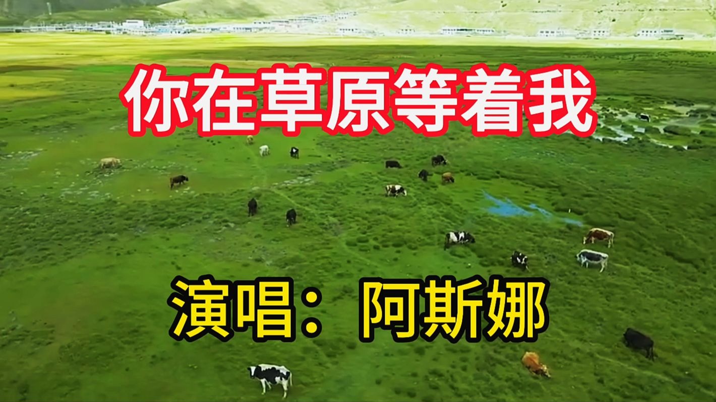 阿斯娜演唱《你在草原等着我》，深情婉转的歌声，醉人心扉