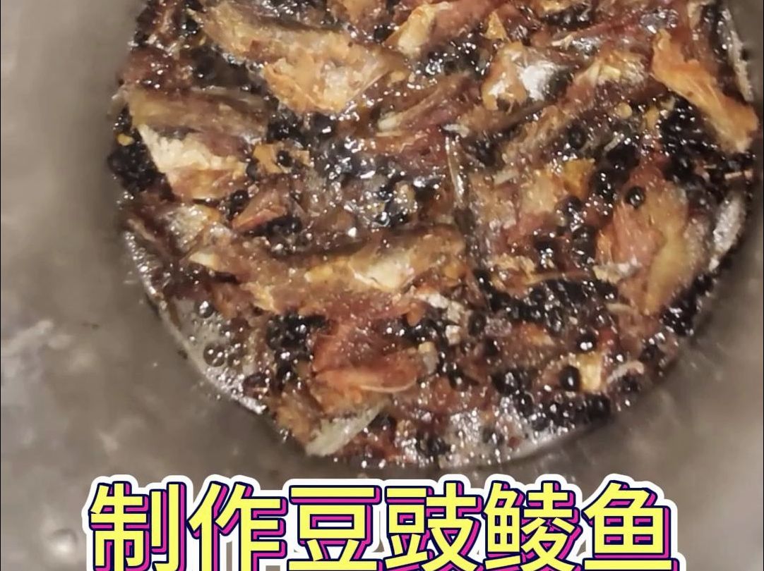 土鲮狂口了，钓土鲮制作豆豉鲮鱼罐头鱼