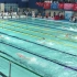 游泳比赛.4X50米男女自由泳接力（梦觉教游泳）