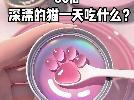 猫咪吃什么？
