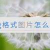 jpg格式图片怎么转？分享个手机轻松操作的方案