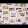 上田麗奈「花の雨」 MUSIC VIDEO