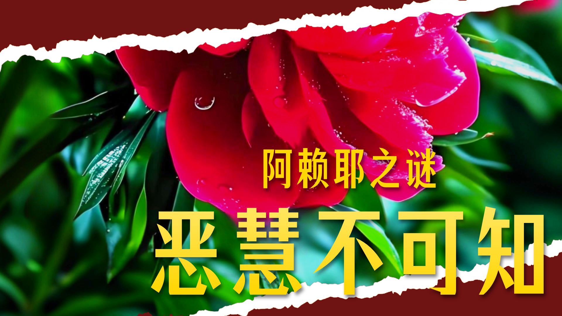 体佛法师开示：如来藏 阿赖耶