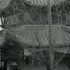 南京街景 Nanking street scenes（1929）