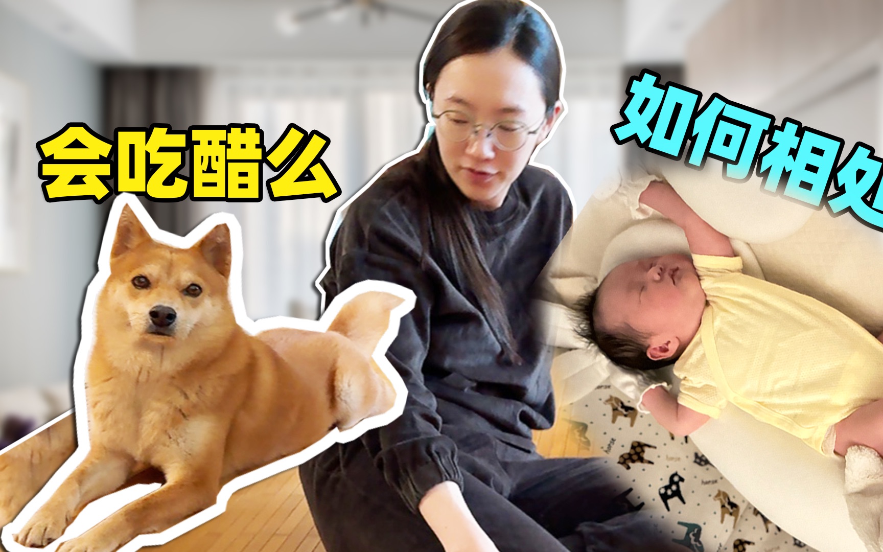 带刚出生的宝宝回家，狗子好像吃醋了，未来如何相处？