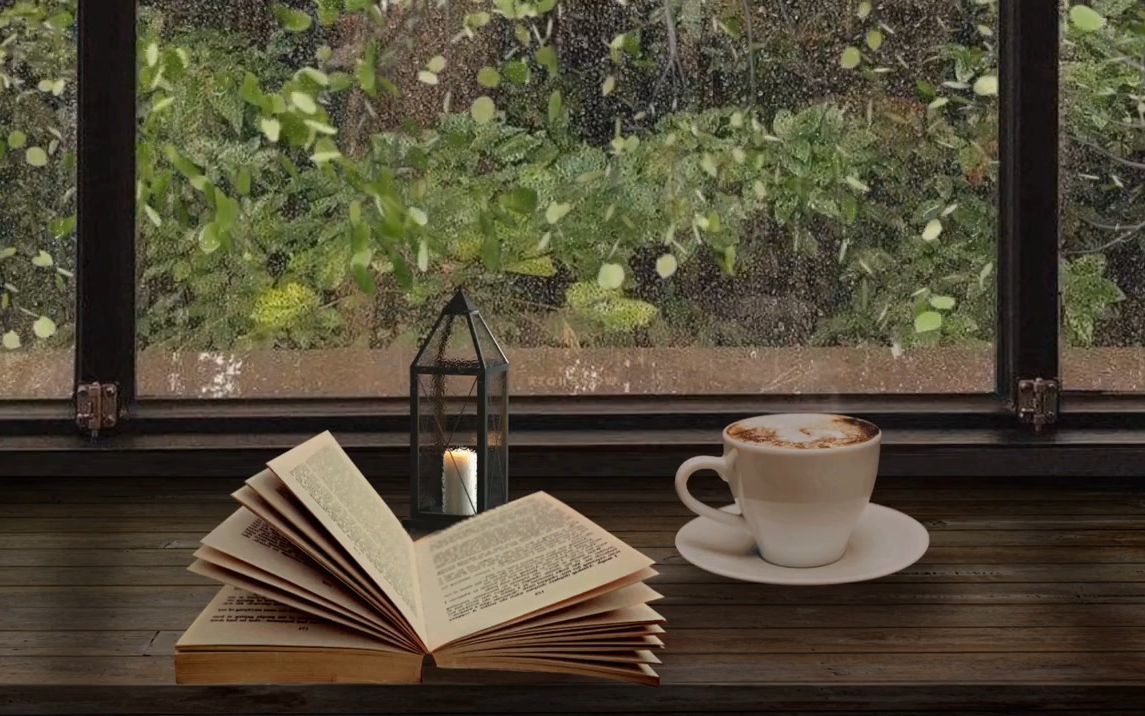 【白噪音】在咖啡厅窗前看书---雨声/喝咖啡（半小时）