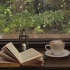 【白噪音】在咖啡厅窗前看书---雨声/喝咖啡（半小时）