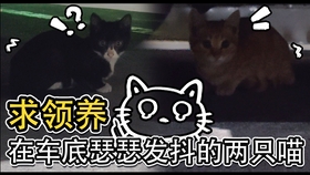 f735e704a1ecab69371a4b72861eaa3fa8a378b0.jpg@280w_158h_1c_100q.jpg