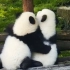 那些年你存过的熊猫经典表情包