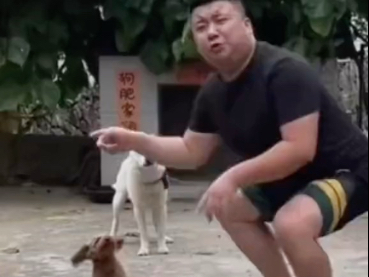 画质越模糊，视频越经典