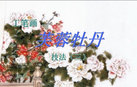 芙蓉牡丹(三)